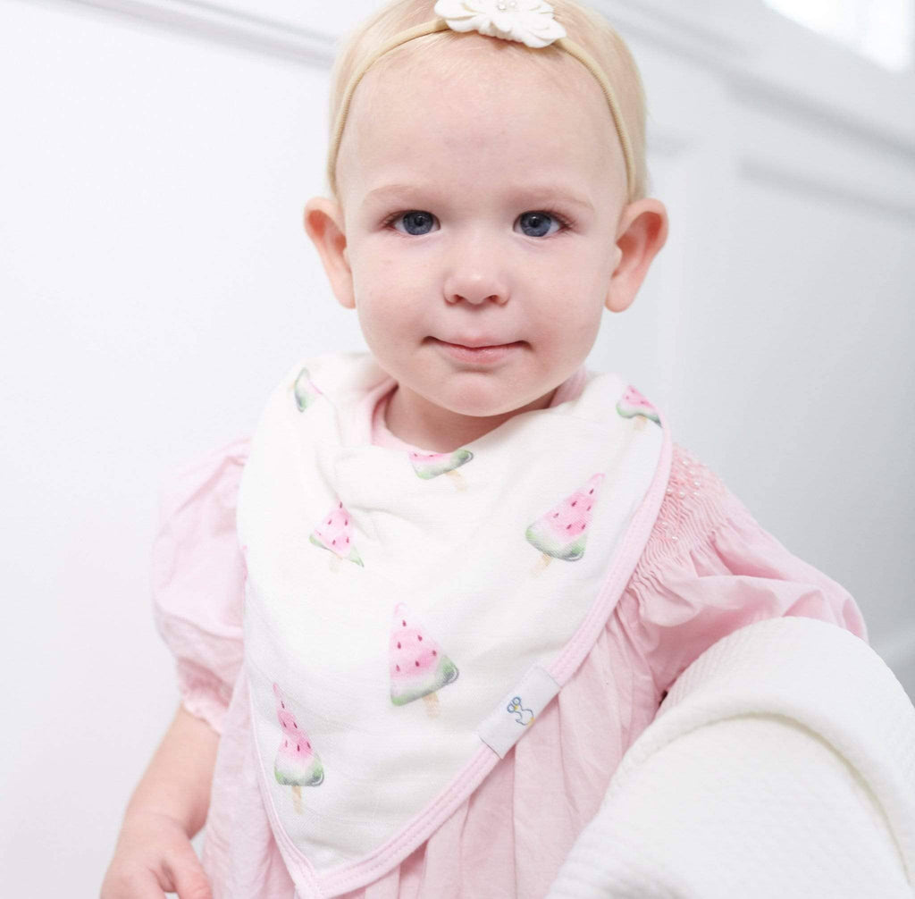 2 PK Muslin & Terry Cloth Bib Set Watermelons/Flowers
