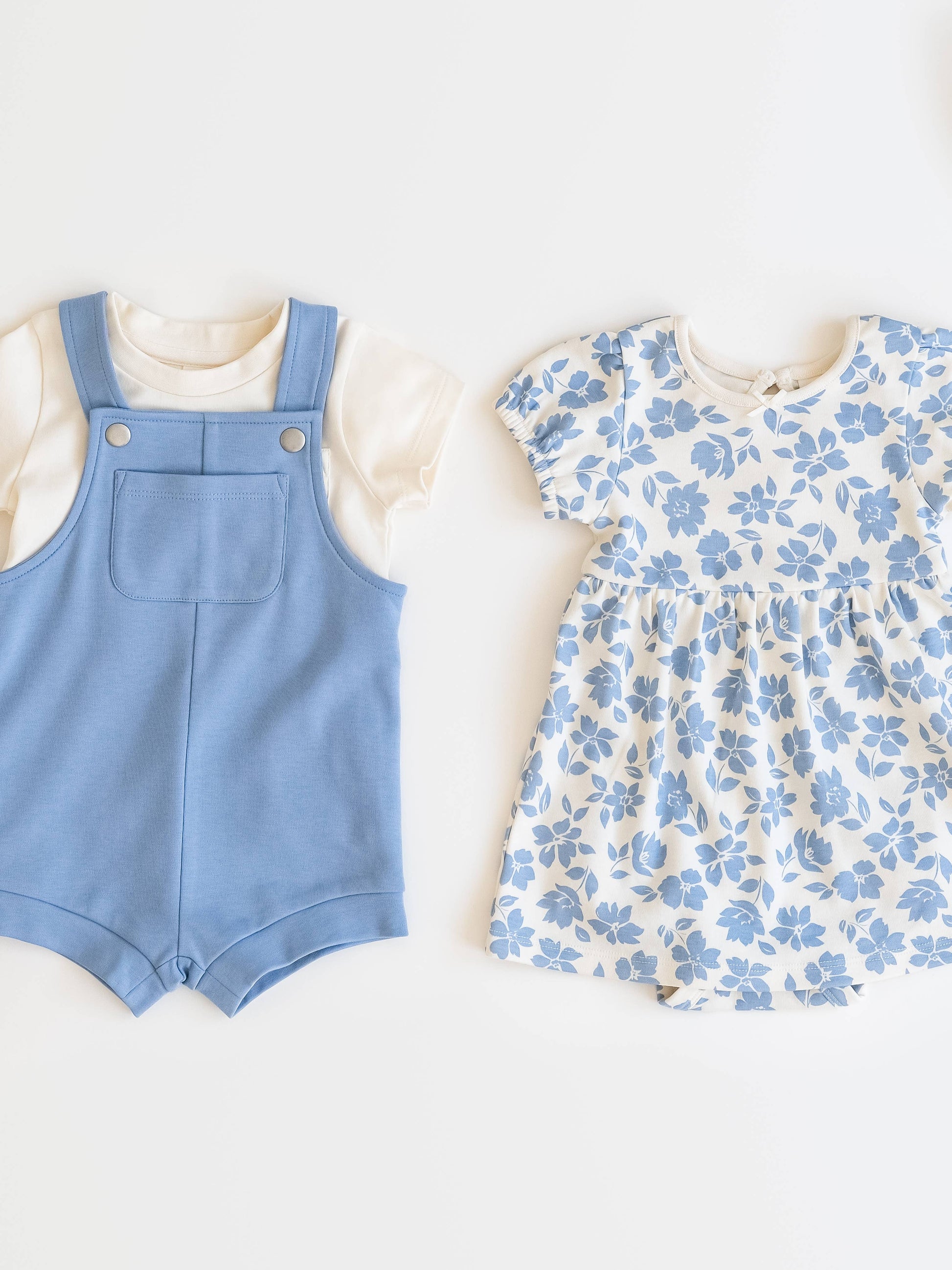 Ronda Sleeve Dress - Rain