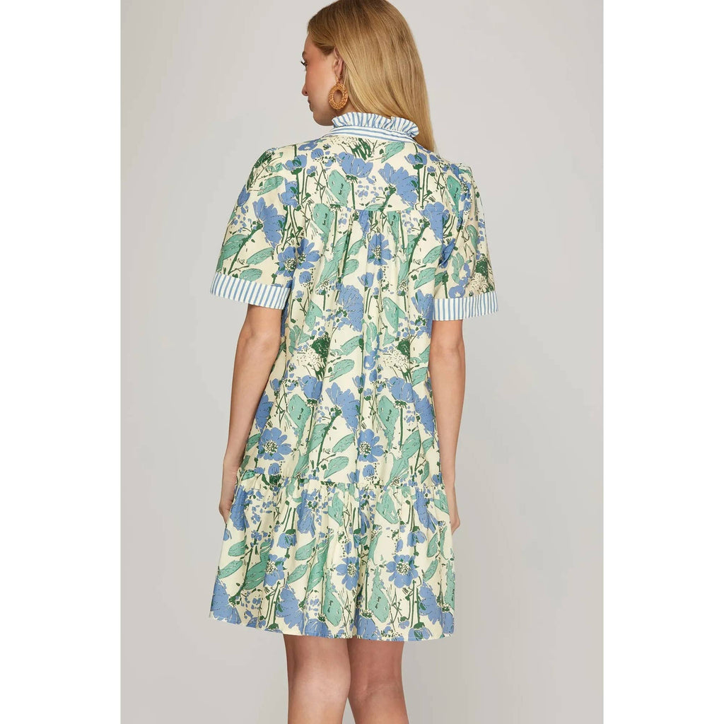 Skylar Collar Dress